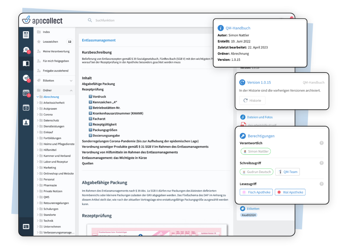 elisana-wiki-audit